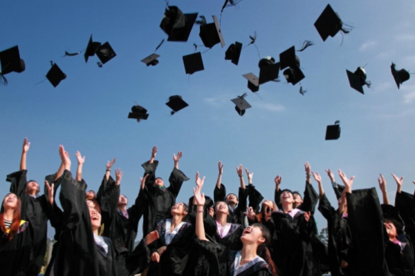 Higher Education Sector