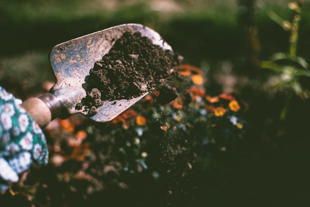 LANDSCAPING & GARDENING